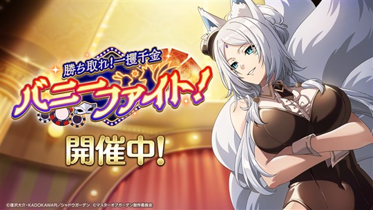 勝ち取れ！一攫千金バニーファイト！