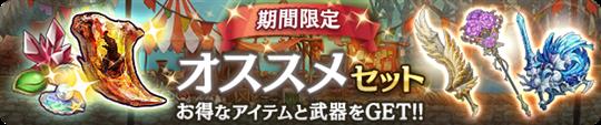 期間限定オススメセット
