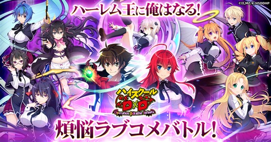 ハイスクールD×D Operation paradise infinity