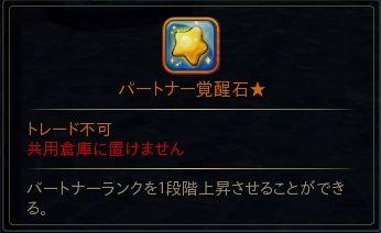 パートナー覚醒石★