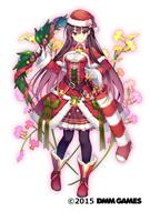 イオノシジウム(クリスマス)