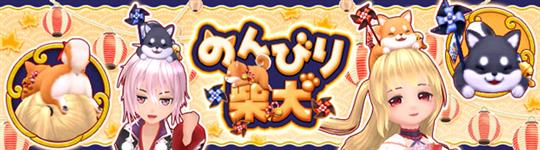 のんびり柴犬