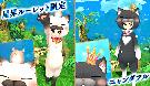 シロニャンダフルバディ(女性用)
