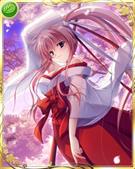 夜桜・犬童ちはや(UR)