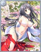 桜花・音羽桂香(SR)